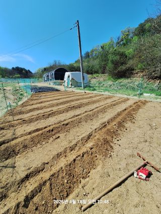이수홍(이창희)님의 기타작물 · 영농일지 작성글 사진