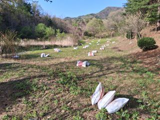 삼신령님의 들깨 · 영농일지 작성글 사진
