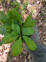 조일성님의 작성글 사진