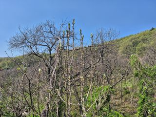 이준영님의 기타작물 · 영농일지 작성글 사진