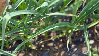 박용열조물주님 님의 기타작물 · 영농일지 작성글 사진