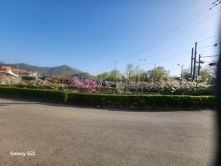 안종범님의 사과 · 영농일지 작성글 사진