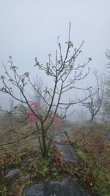 정규환님의 작성글 사진