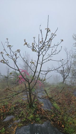 정규환님의 기타작물 · 영농일지 작성글 사진