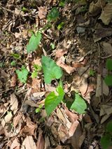 조일성님의 작성글 사진