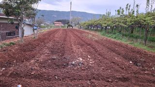 장원팜님의 배 · 영농일지 작성글 사진