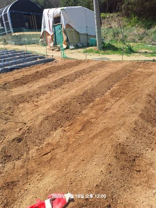 이수홍(이창희)님의 기타작물 · 영농일지 작성글 사진