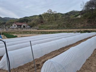 김기탁님의 기타작물 · 영농일지 작성글 사진