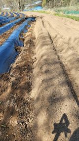 양석원님의 작성글 사진