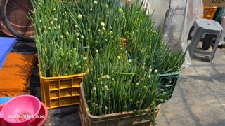 박용열조물주님 님의 기타작물 · 영농일지 작성글 사진