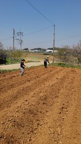 로만아빠님의 작성글 사진