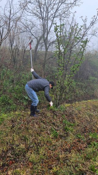 정규환님의 기타작물 · 영농일지 작성글 사진