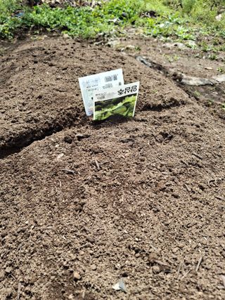 헤이쥬회원님의 기타작물 · 영농일지 작성글 사진