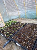 팜모닝 기타작물·영농일지 게시글 이미지