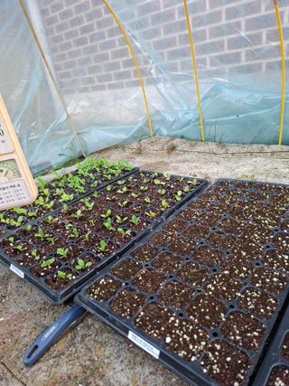 이재상님의 기타작물 · 영농일지 작성글 사진