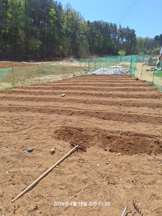 이수홍(이창희)님의 기타작물 · 영농일지 작성글 사진