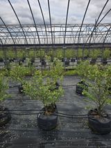 축복농장님의 작성글 사진