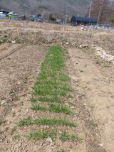 원술님의 작성글 사진