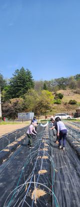 안나님의 작성글 사진