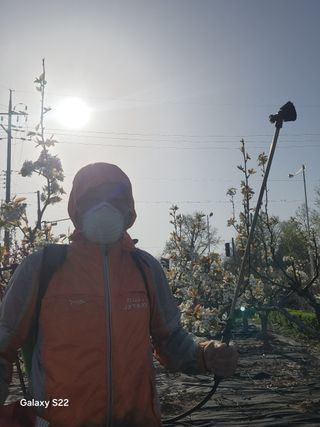 안종범님의 사과 · 영농일지 작성글 사진