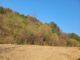 이름유순옥님의 기타작물 · 영농일지 작성글 사진