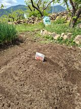 헤이쥬회원님의 작성글 사진