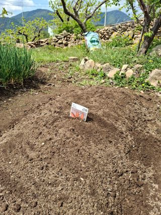 헤이쥬회원님의 기타작물 · 영농일지 작성글 사진