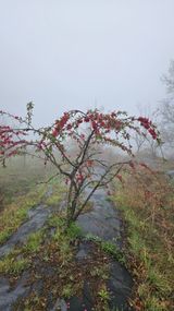 정규환님의 작성글 사진