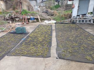 전원수님의 기타작물 · 영농일지 작성글 사진