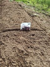 헤이쥬회원님의 작성글 사진