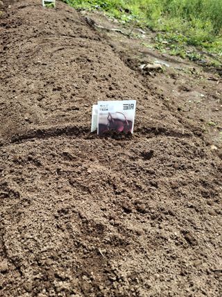 헤이쥬회원님의 기타작물 · 영농일지 작성글 사진