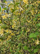 서정훈 님의 작성글 사진