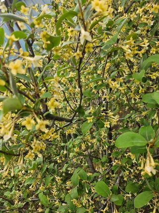 서정훈 님의 기타작물 · 영농일지 작성글 사진