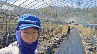 축복의땅 에덴동산님의 사과 · 영농일지 작성글 사진