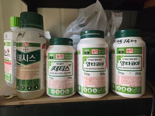 축복농장님의 기타작물 · 영농일지 작성글 사진