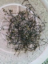 돈디아고(김덕수)님의 작성글 사진