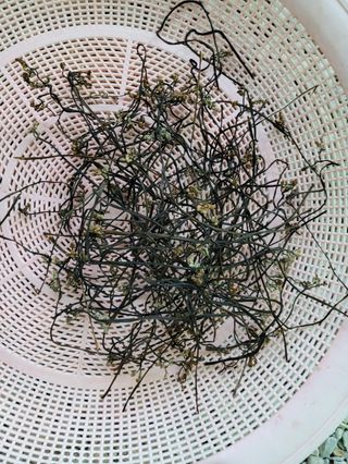 돈디아고(김덕수)님의 두릅 · 영농일지 작성글 사진