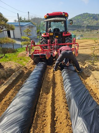 상추22033님의 기타작물 · 영농일지 작성글 사진