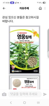 팜모닝 참깨·영농일지 게시글 이미지