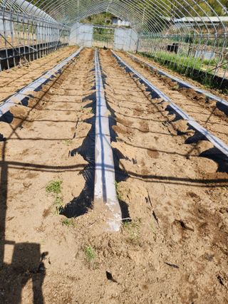 최상길 님의 기타작물 · 영농일지 작성글 사진