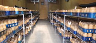 오●석님의 기타작물 · 영농일지 작성글 사진