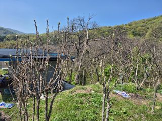 이준영님의 기타작물 · 영농일지 작성글 사진