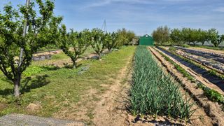 산수화풍님의 기타작물 · 영농일지 작성글 사진