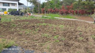 박용열조물주님 님의 기타작물 · 영농일지 작성글 사진