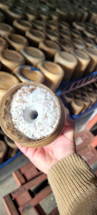 오●석님의 기타작물 · 영농일지 작성글 사진