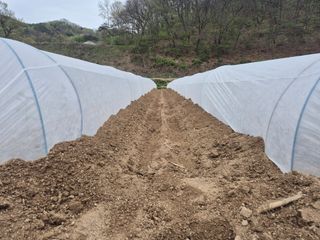 김기탁님의 기타작물 · 영농일지 작성글 사진