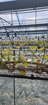 이화주님의 작성글 사진