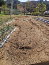 기진성님의 작성글 사진