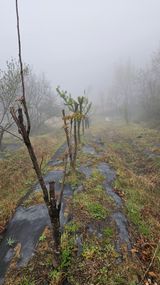 팜모닝 기타작물·영농일지 게시글 이미지