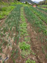 김성환님의 작성글 사진